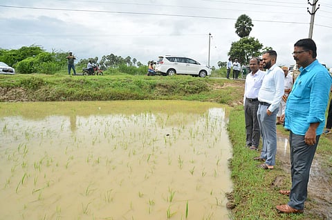 Paddy fields Inundated near Thalaignayiru on Thursday