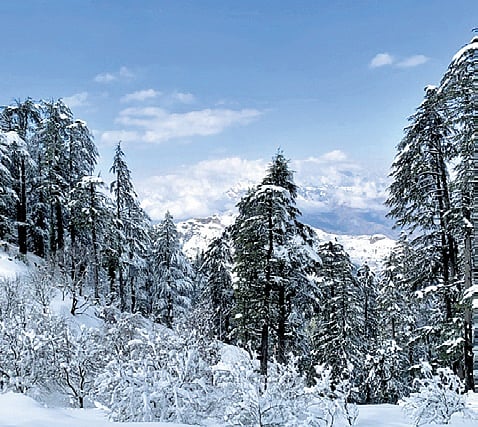 Dehradun Diary | Chakarata prepares for winter relief efforts