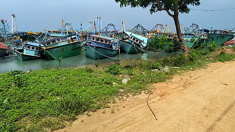 Tens of trawlers seized from Tamil Nadu fishermen berthed in the fishing harbour at Myliddi in Jaffna district without maintenance.