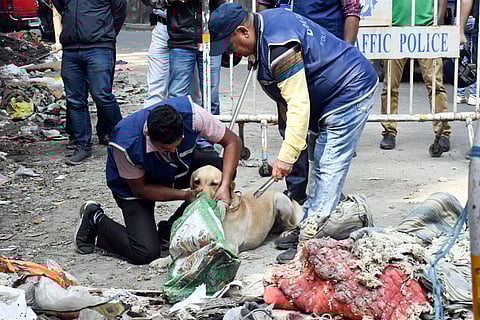 File - Police recover severed human head from garbage dump in Tollygunge area, in Kolkata.