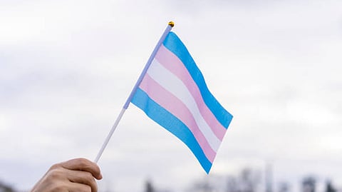 Transgender flag used for representational purpose.