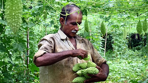 Image used for representational purposes only