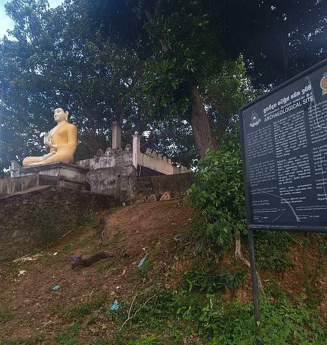 The board installed by the Department of Archaeology in Sri Lanka, prohibiting various activities, near the Buddha statue that has come up at Old Chemmalai near Nayaru Lagoon in Mullaitivu district.