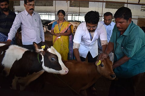 Image used for representative purpose.