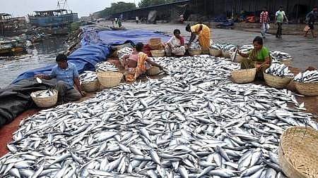 Image of fish sellers used for representative purpose.