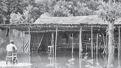  The elderly grapple with loss and the weight of starting over