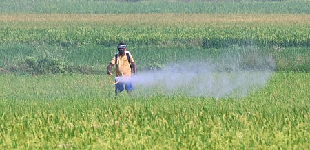 Image used for representational purposes