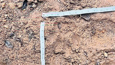 Now, tiger pugmarks seen in Bayyaram of Manugur forest 