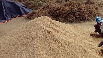 Kharif procurement commencing in Sundargarh from Friday.