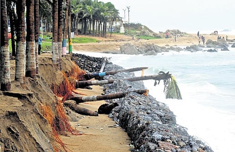 Coconut trees were uprooted at RK Beach in Vizag