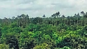 Image used for representational purposes only