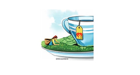 Your cuppa is healthy, US FDA finally agrees