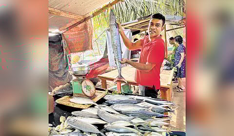 The Rathgama Wella Fish Market