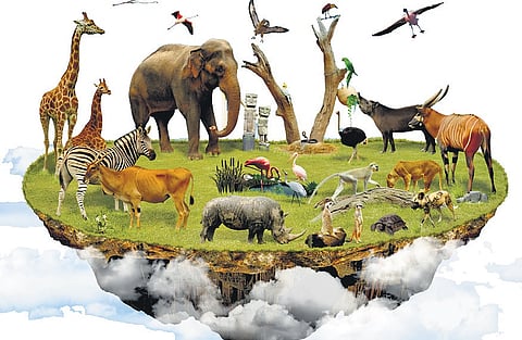 Image used for representational purposes only