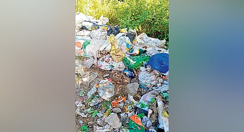 Waste found dumped on the banks of Parakkai big tank in Nagercoil 