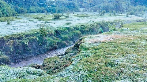 Tourists rush to Munnar as temperature dips to zero