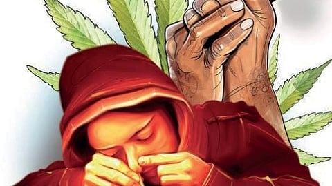 A total of 2,257 cases were registered in 2022, 2,969 in 2023, and 3,106 in 2024.