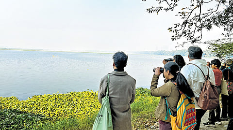  Bird-watching enthusiasts.
