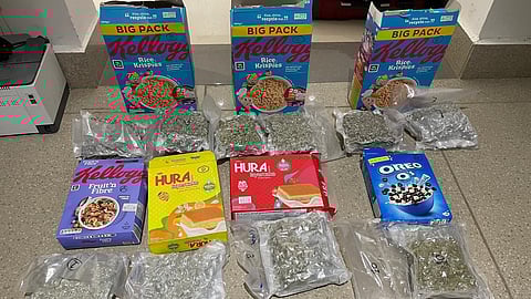 Hydroponic ganja seized from passengers from Thailand, sealed in airtight plastic bags inside tetrapackets of food products.