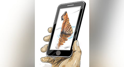 Wildwatch app to tackle human-wildlife conflicts in Kerala 