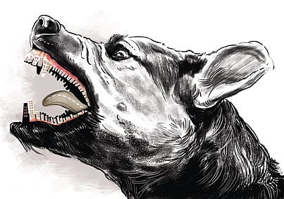 Image used for representational purposes only