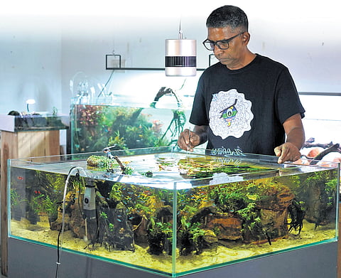Basil James working on a paludarium.