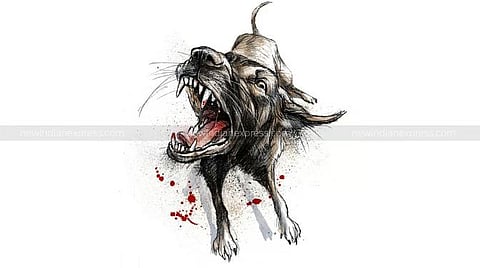 Image used for representative purpose.