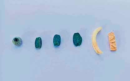 The recovered glass beads and shell bangles.