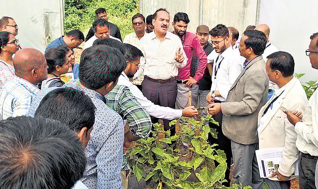 Agricultural scientists conduct studies at the Centre of Excellence for Vegetables and Flowers in Kuppam of Chittoor district .