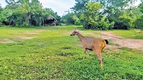 Image used for representational purposes only