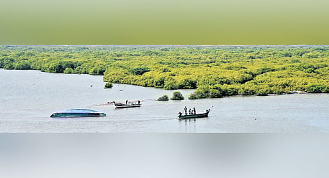 Can TN's Nagapattinam bear another Tsunami?