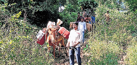 Tribals of Chalisingam hamlet in Anakapalle district stage a novel protest on Sunday highlighting their woes due to lack of road connectivity 