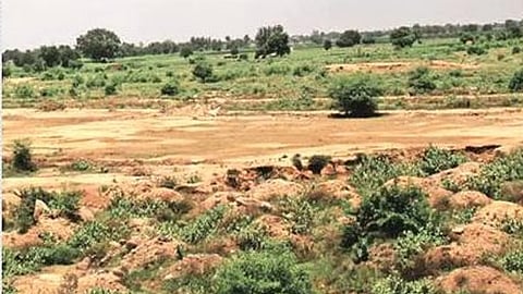 Focus on digital footprints to identify fraudulent Dharani transactions