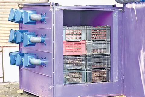 NIT-R’s low-cost zero energy cooling unit wins Tomato Grand Challenge 