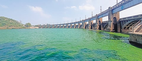 Mettur dam level reaches full capacity