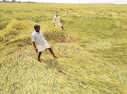 Image used for representational purposes only