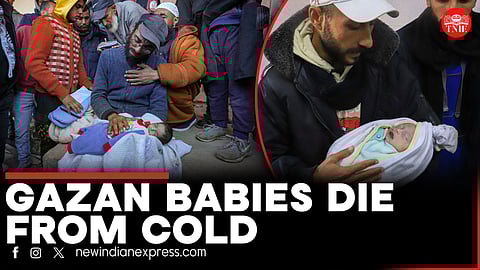 Four babies die of hypothermia as Israel's genocide continues in Gaza