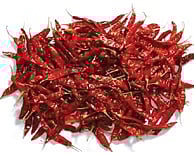 Chilli farmers face crisis as prices drop, costs rise, and yield declines in 2024