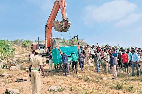 The leopard that was trapped in a cage placed near Denkanikottai in Krishnagiri on Thursday | Express
