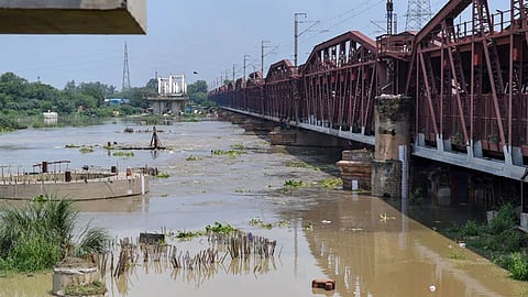 DDA to survey sites on Yamuna floodplains for ropeways 