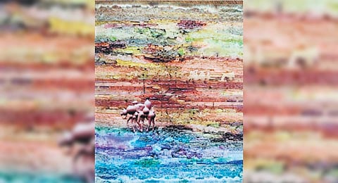 Master sculptor: Kottayam man who is a potter and storyteller