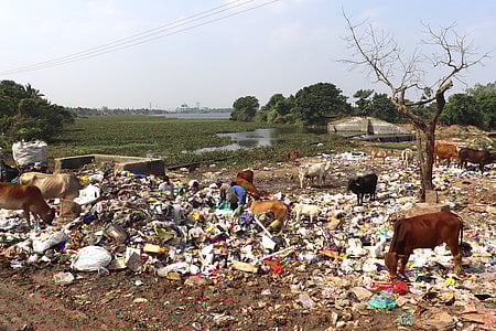 Image used for representational purposes only