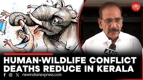 "Most of the deaths due to snake bites:" Forest Minister AK Saseendran on animal attack deaths