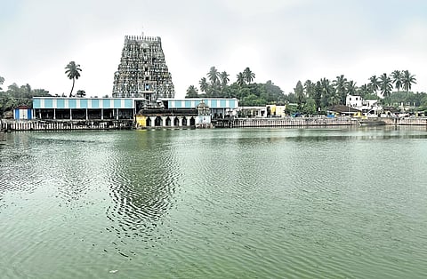 Photos: Chithra Madhavan