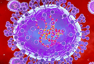 HMPV Representative Image