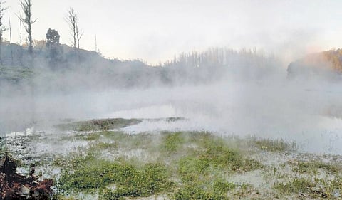 Nilgiris faces threat of forest fires and crop losses due to severe cold and frost