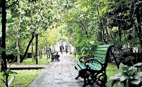 Rajagiri’s green zone is so much more!