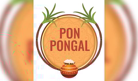 Potters rue lack of assistance as rain plays spoilsport ahead of Pongal