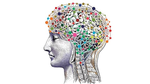 In pain? Brain neurons are making you act differently