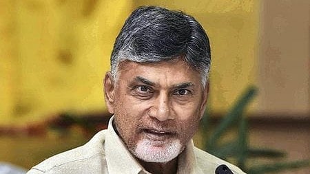 Andhra CM N Chandrababu Naidu